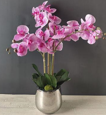 [FAROSE] 66cm ARTIFICIAL PINK ORCHID *3 STEMS 