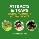 TRAP- Piege Spectracide Wasp & Hornet- Anti Guepes 13.5oz +0.25oz