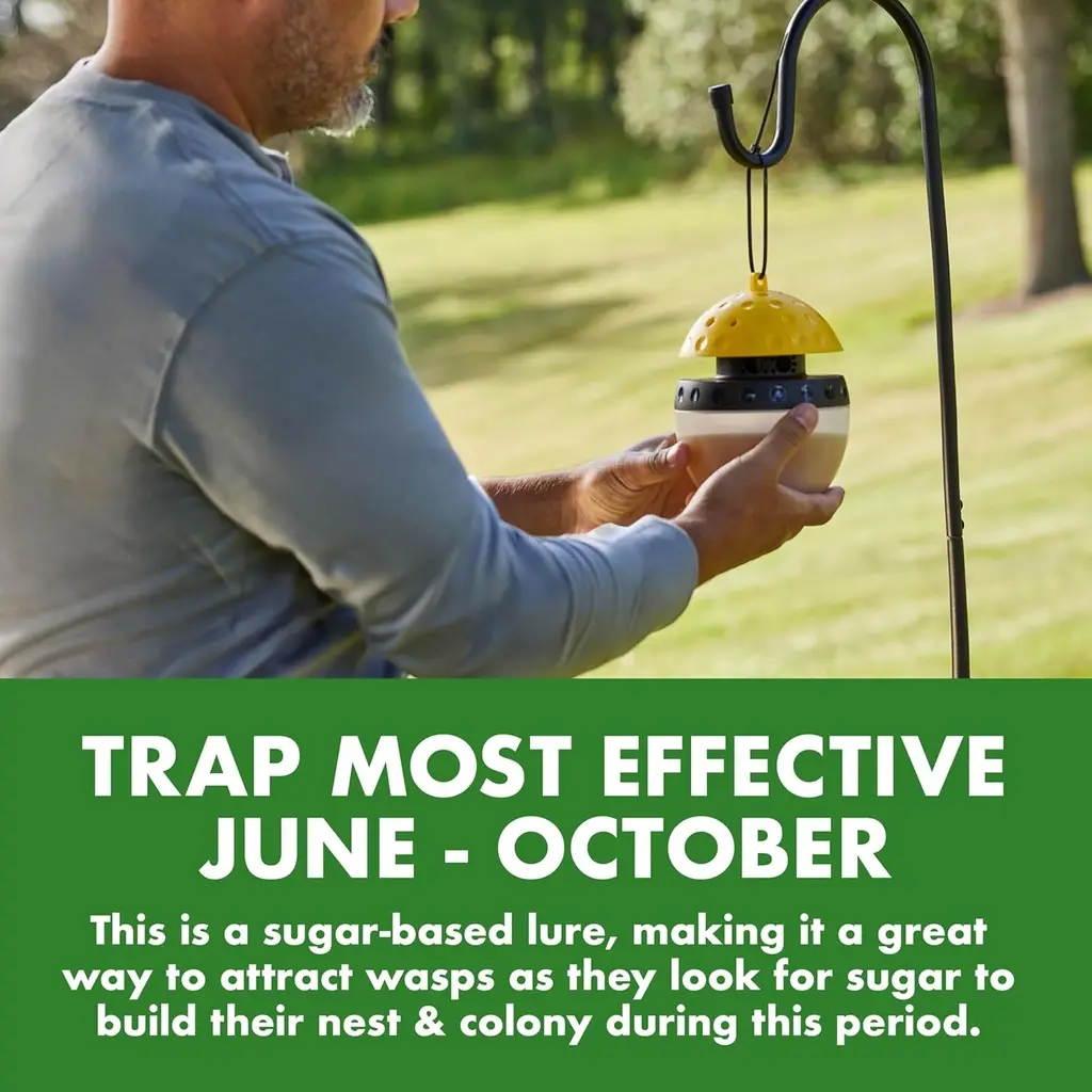 TRAP- Piege Spectracide Wasp & Hornet- Anti Guepes 13.5oz +0.25oz