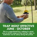 TRAP- Piege Spectracide Wasp & Hornet- Anti Guepes 13.5oz +0.25oz
