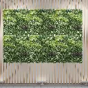 Panneau Mur Végétal - 102cm x 102cm