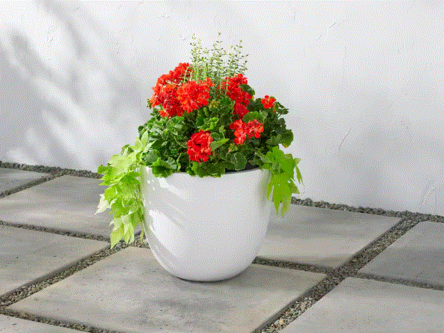 JARDINIERE EN PLASTIQUE BLANC 14" - 35.56cm
