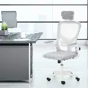 Chaise de bureau ergonomique avec support lombaire