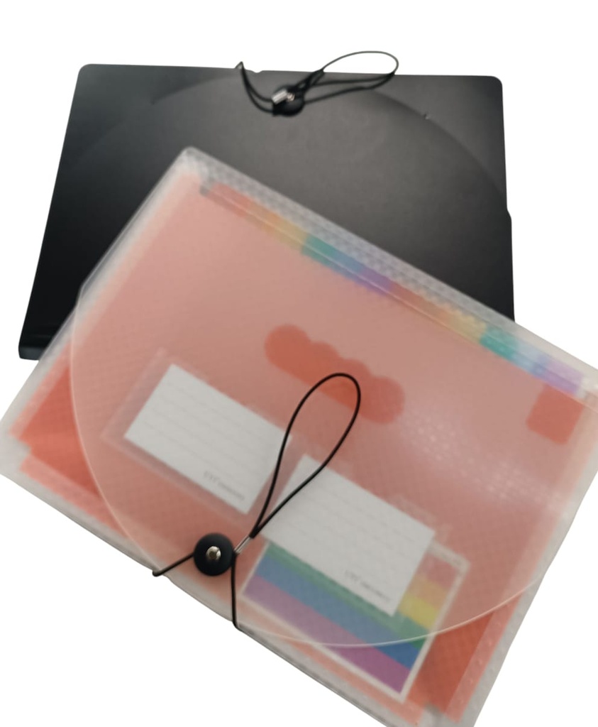 ORGANISATEUR DOCUMENTS A4  TRANSPARENT/NOIR
