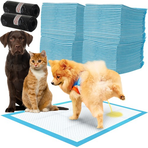 Absorbing carpets 100 rooms + 30 17213