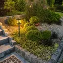 CLASSICO SGL-10L terminal