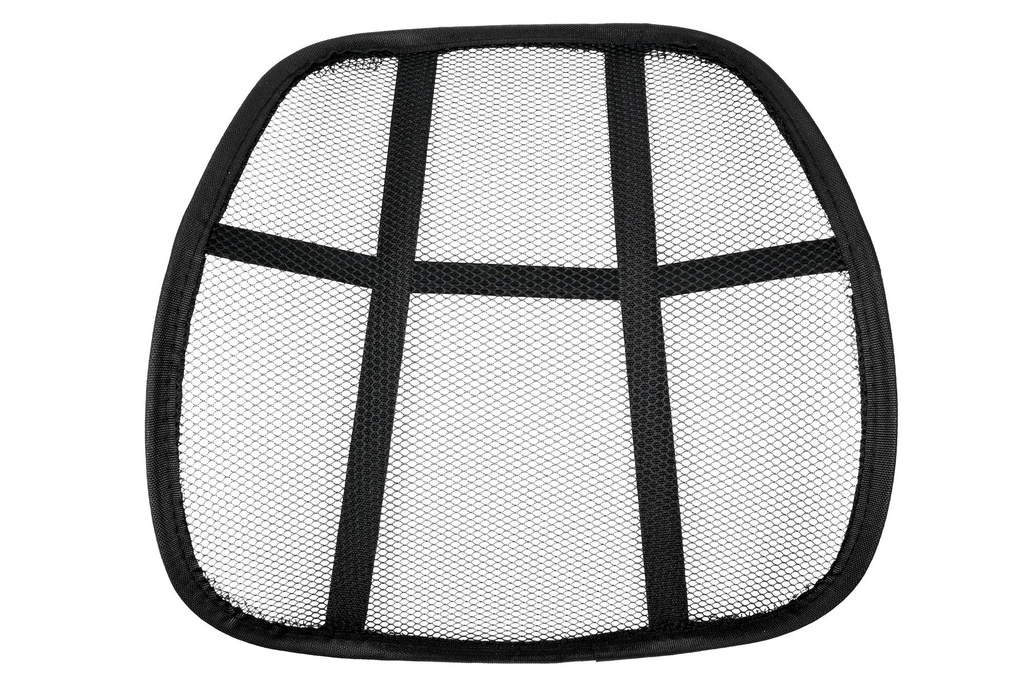 37 x 42 cm lumbar support