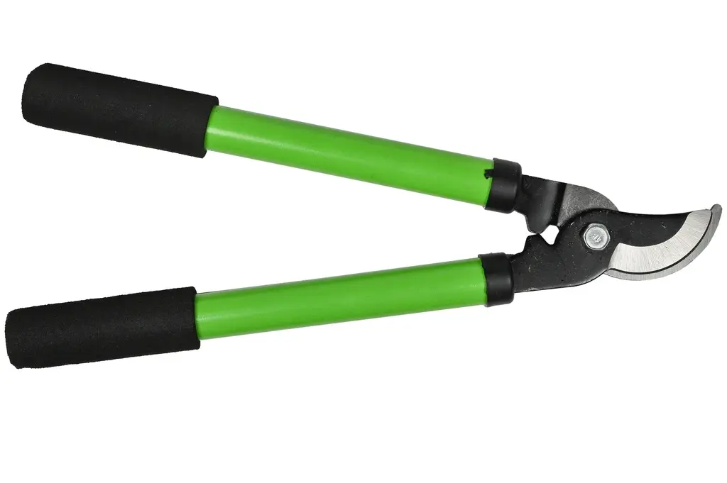 [009311ZEN01] 38 cm small pruning sheer