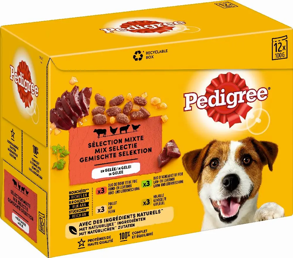 Pedigree adult selection mixte 12x100g