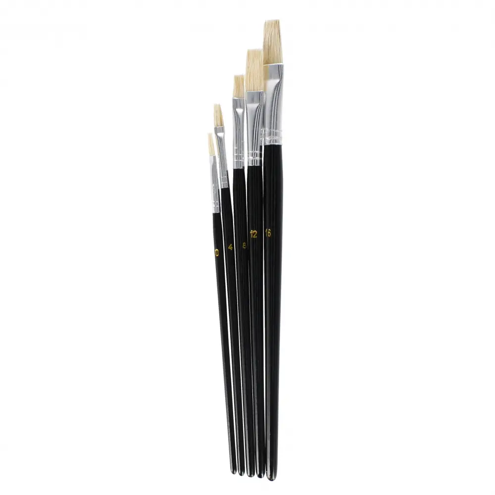 School brushes 5pcs
