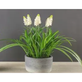 FA 35cm YELLOW HYACINTHS