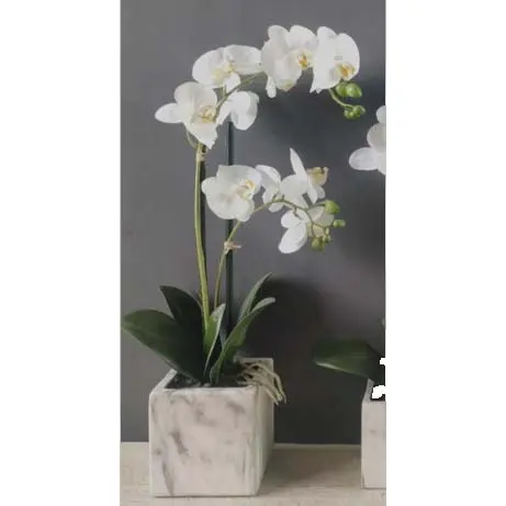 FA 56cm WHITE ORCHID