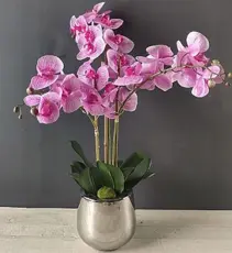 FA 66cm PINK ORCHID 3 STEMS