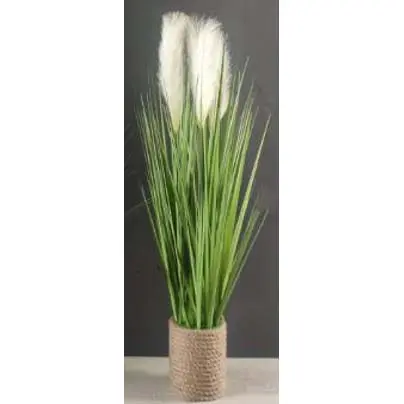 FA 81cm PAMPAS GRASS
