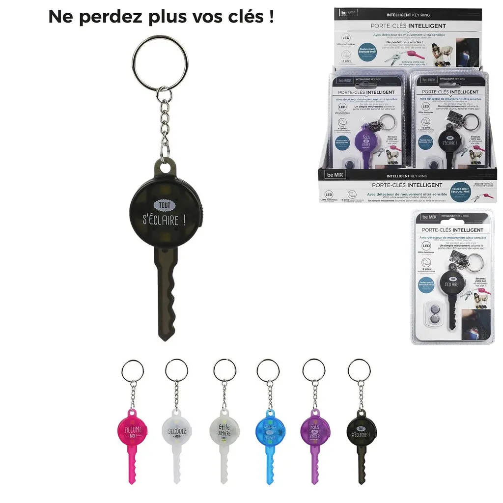 Porte - Cles intelligent