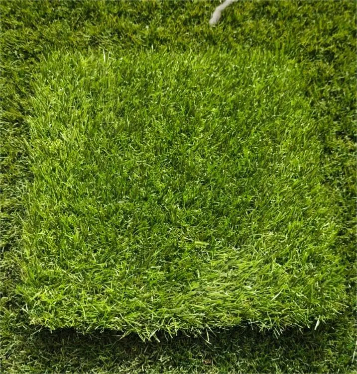 [075# 25MM] Magic M  25mm