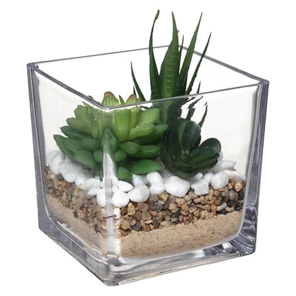 [181504 ZEN29] Terrarium plante en verre Tio H29,5 cm 
