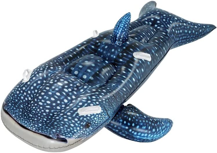 (41482) Wonderful Whale to ride 183 cm