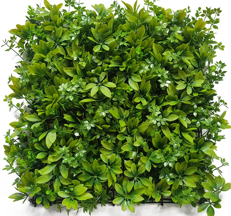 [YT50-0006] Prairie green wall