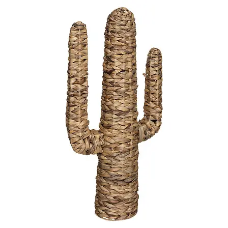 Cactus jacinthe Haci H75, beige
