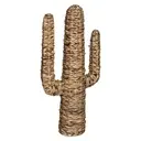 [178737 ZEN35] Hyacinth cactus Haci H75, beige