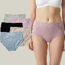 [M 9105] Lot de 5 slips taille haute en coton bio 9105 (M)