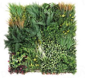 Jungle Hush Plant Wall For Outdoors DBC05