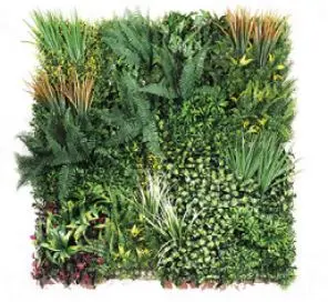 Mur vegetal Jungle Hush Pour Exterieur DBC05 