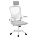 [HOP1001787-2 ZEN54] Chaise de bureau ergonomique avec support lombaire