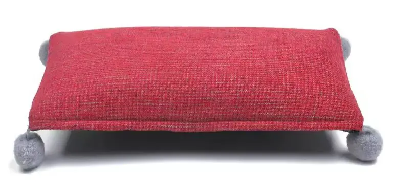 [S1 ROUGE] Coussin de Massage S1 Rouge