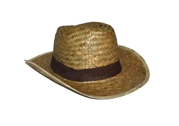 [50096 ZT] Chapeau cowboy en paille nature enfant 