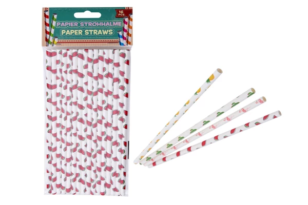 [192900] Paper Straws 16 pieces RT1