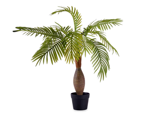 [79596] Plante en pot palmier tige large 90cm