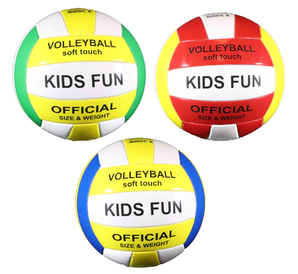 [9504] Volley-ball taille 5 match 