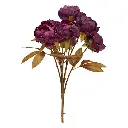 Bouquet of peonies Fria H53