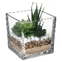Tio glass plant terrarium H29.5 cm