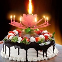 Musical Flower Magic Birthday Candle