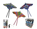 Wing Glider a display