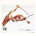 Pteranodon dinosaur wooden puzzle